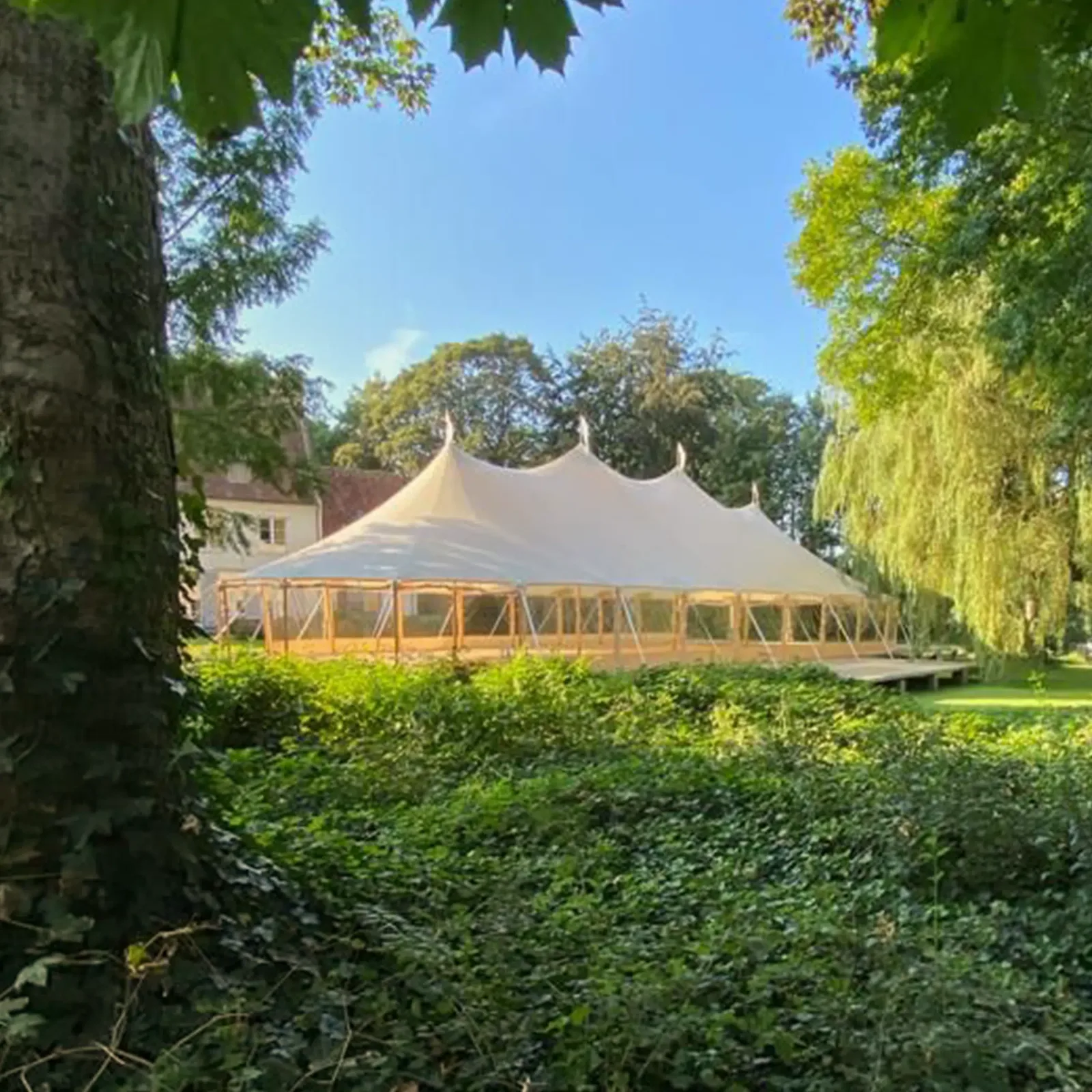 Qtents-mastetelt med lyse tagtoppe og transparente sider