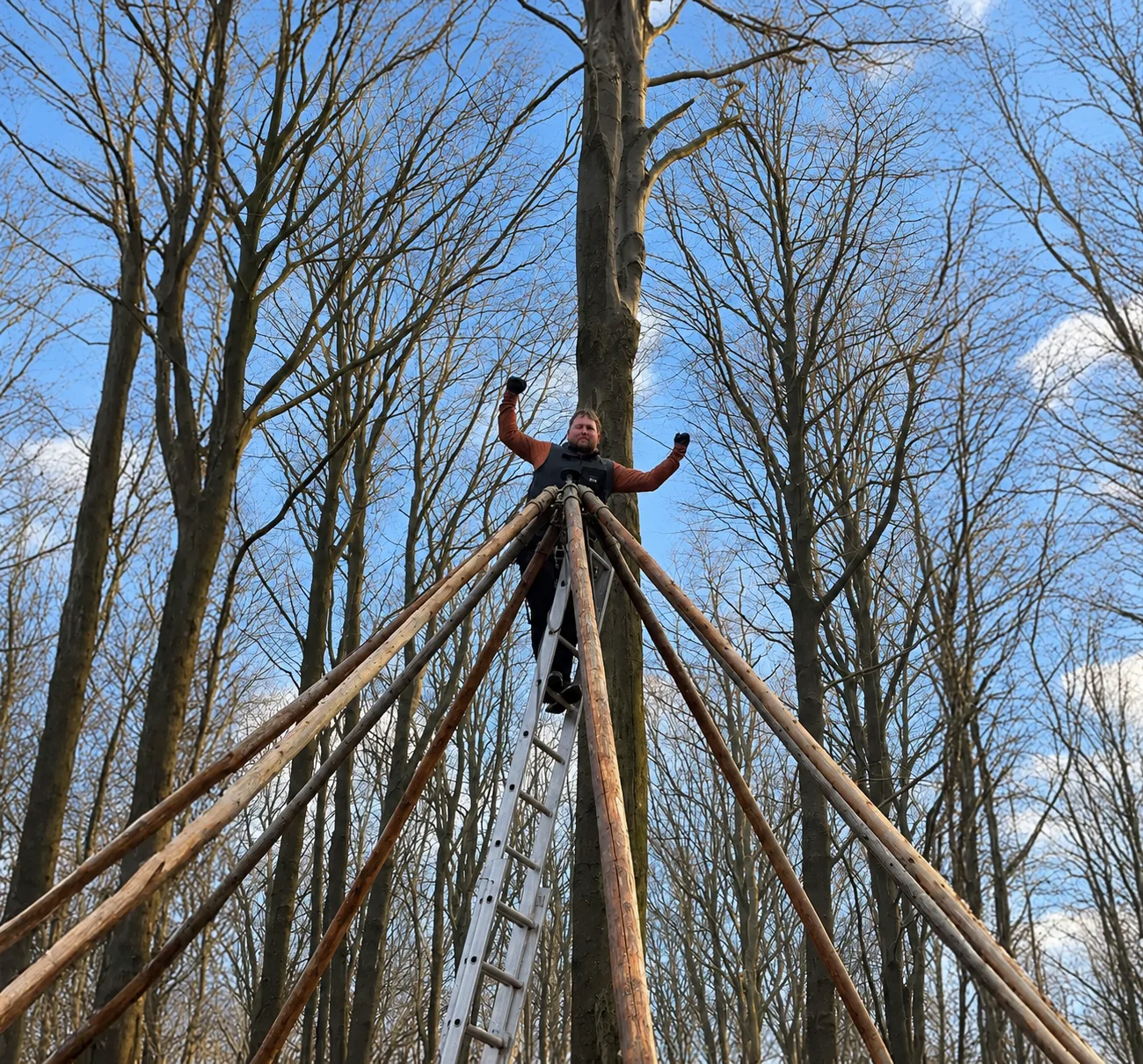 En person på en stige mellem træmasterne under opsætningen af en tipi