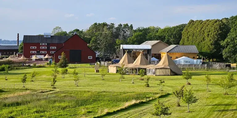 Tipier ved virksomhedscampen i Sverige i 2025