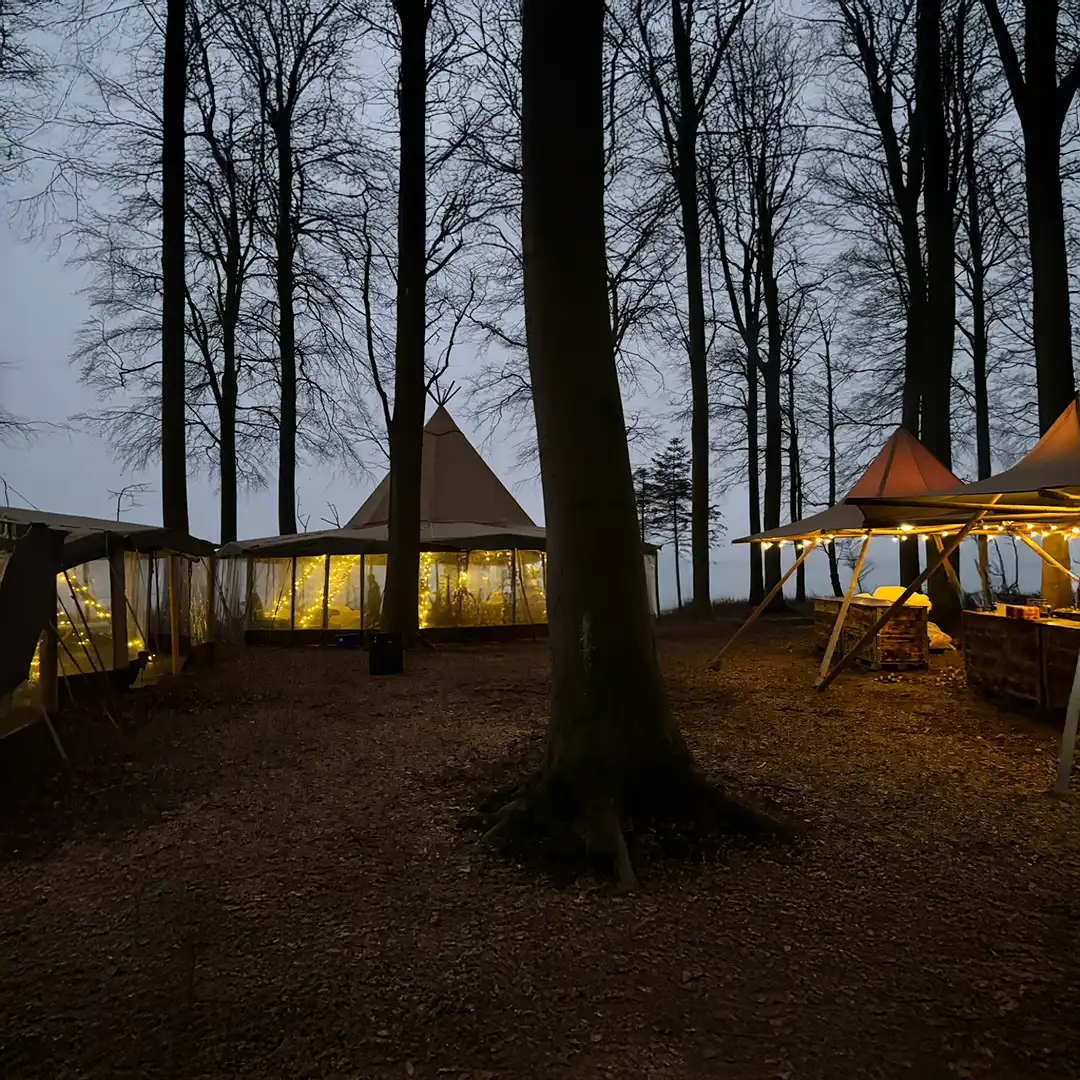 Oplyste tipier i en stemningsfuld skov på Langeland, perfekt til bryllupper, firmaevents og private fester. Den rolige naturscene skaber en magisk atmosfære med eventyragtige lyskæder.
