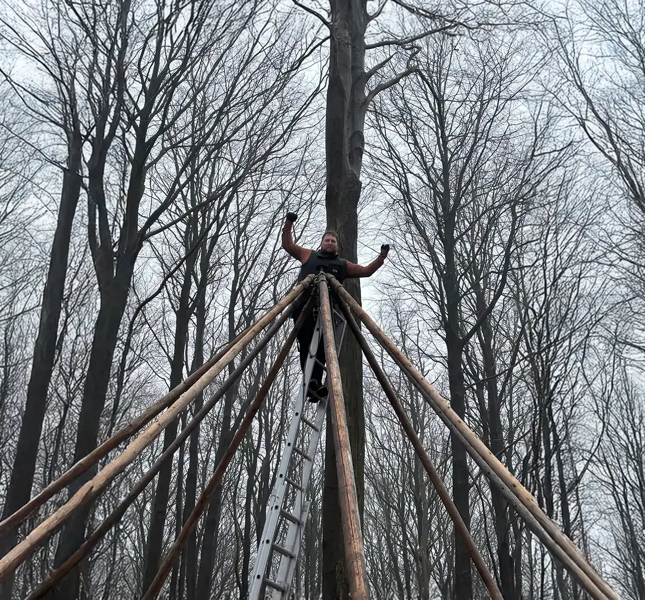 Mand i gang med at bygge en traditionel tipi i en skov, stående på en stige omgivet af høje, bladløse træer. Billedet viser opbygningen af en autentisk tipi, ideel til events, naturoplevelser og udendørs arrangementer.